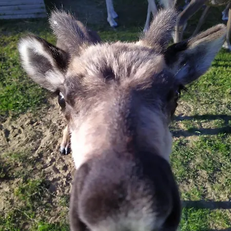 Barn House Maentyniemi