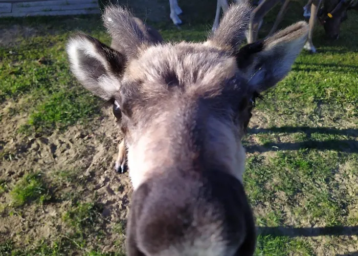 Barn House Maentyniemi