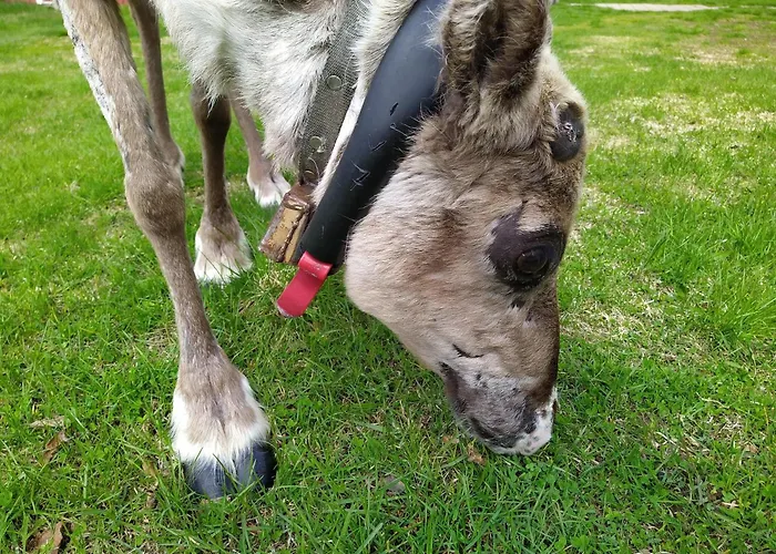 Barn House Maentyniemi Hossa